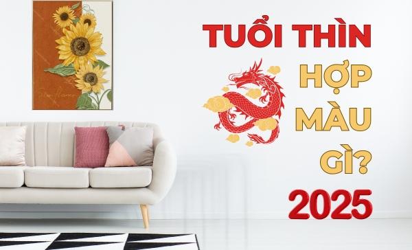 Bảng màu tương sinh tương hợp cho tuổi Bính Thìn 1976 trong năm Ất Tỵ 2025